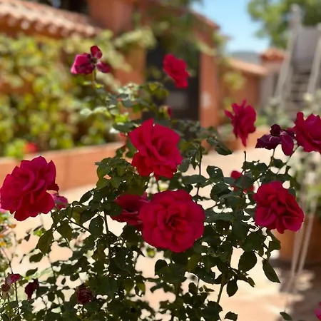 El Rosal * Μαρμπέλλα