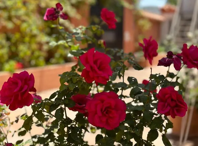 El Rosal * Marbella