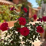 El Rosal * Marbella