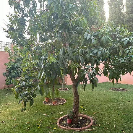 El Rosal
